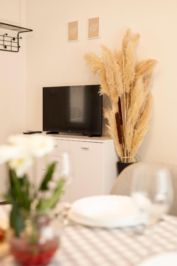 Studio Apartman Amalie 帕津 外观 照片